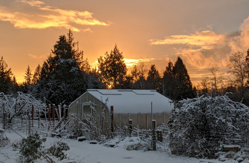 Snow covered greenhouse