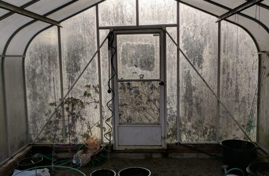 Greenhouse Dreams
